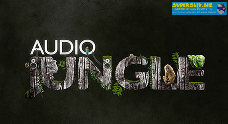 [AudioJungle] Шикарная подборка музыки (2019)_0.png